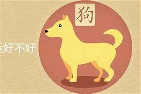 木狗之命|【木狗命】木狗命運大解析！出生年份、性格特質一次告訴你